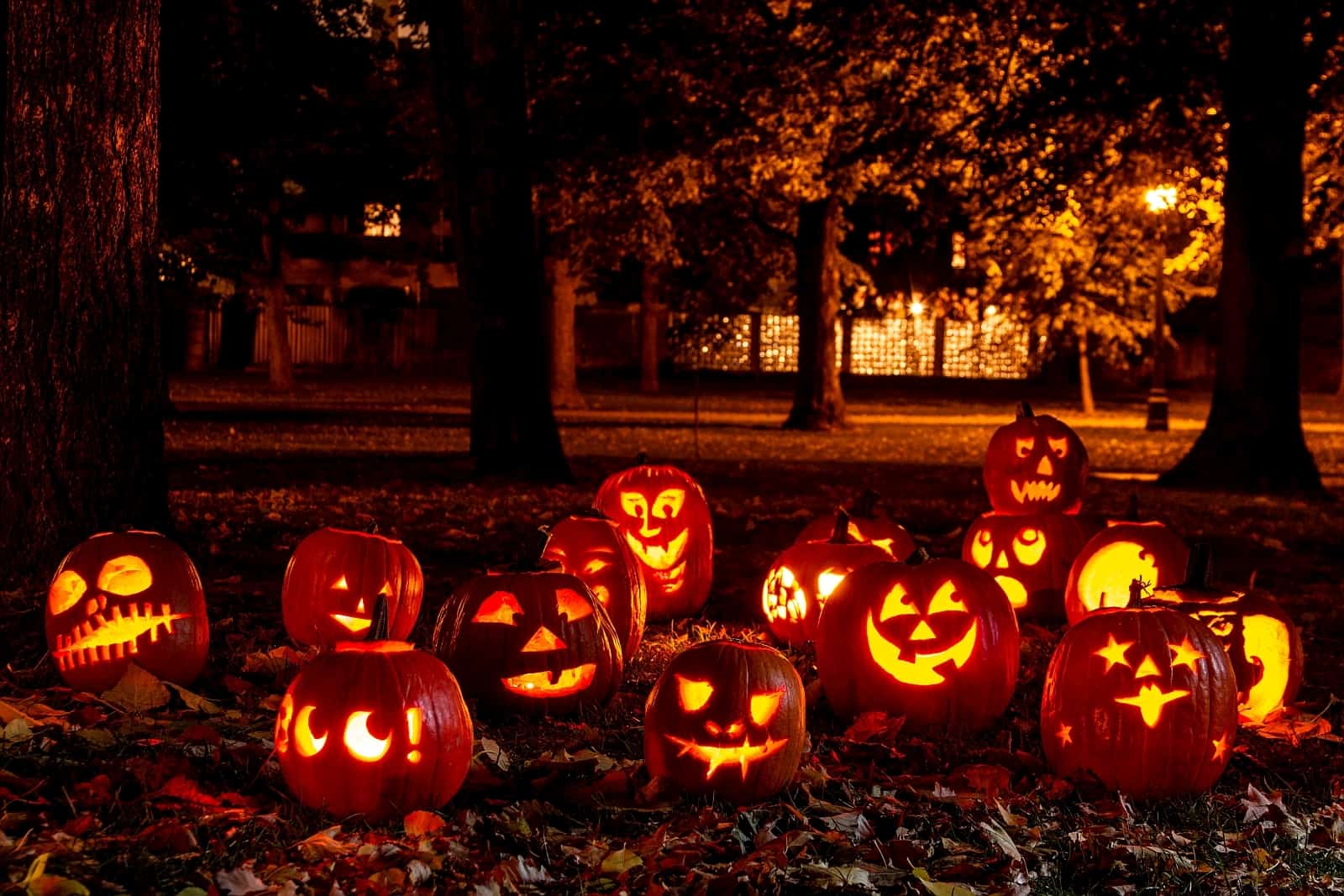 Why Do People Dress Up for Halloween?